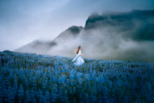 Load image into Gallery viewer, 8121565