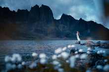 Load image into Gallery viewer, 8121571