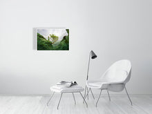 Load image into Gallery viewer, 4847015-1115667