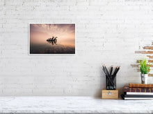Load image into Gallery viewer, 4777648-1101469
