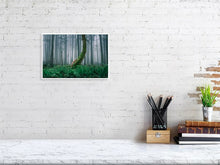 Load image into Gallery viewer, 4777634-1101845