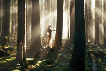 Load image into Gallery viewer, Whispers in the Woods