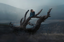 Load image into Gallery viewer, Desolate