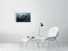 Load image into Gallery viewer, 4777650-1101472