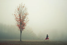Load image into Gallery viewer, The Leaf Thief