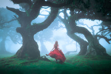 Load image into Gallery viewer, Dance through the Dark Woods