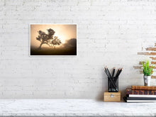 Load image into Gallery viewer, 6097850-1405791