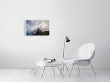 Load image into Gallery viewer, 4777305-1101517