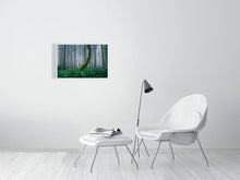 Load image into Gallery viewer, 4777634-1101846