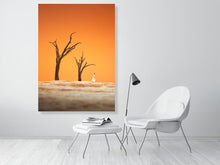 Load image into Gallery viewer, 7469902-2313291