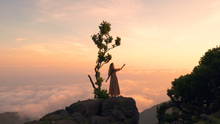 Load and play video in Gallery viewer, Dreaming into the Day