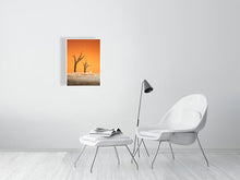 Load image into Gallery viewer, 7469902-2313278