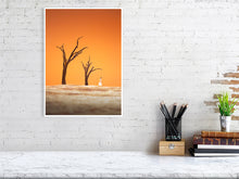 Load image into Gallery viewer, 7469902-2313275