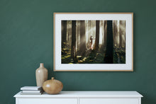 Load image into Gallery viewer, Whispers in the Woods