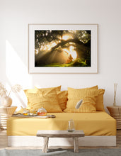 Load image into Gallery viewer, A Heavenly Euphoria