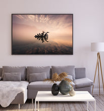 Load image into Gallery viewer, The Lakeland Wonder