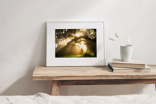 Load image into Gallery viewer, A Heavenly Euphoria