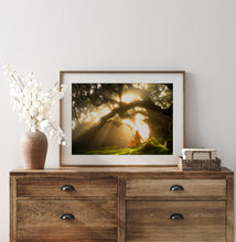 Load image into Gallery viewer, A Heavenly Euphoria