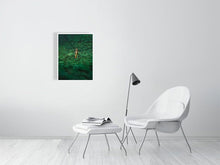 Load image into Gallery viewer, 5806776-1317337
